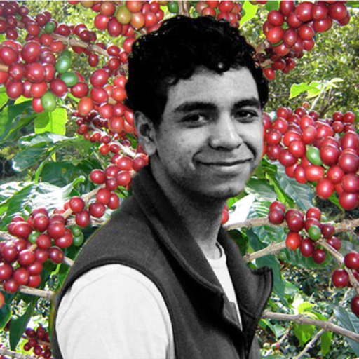 Moises